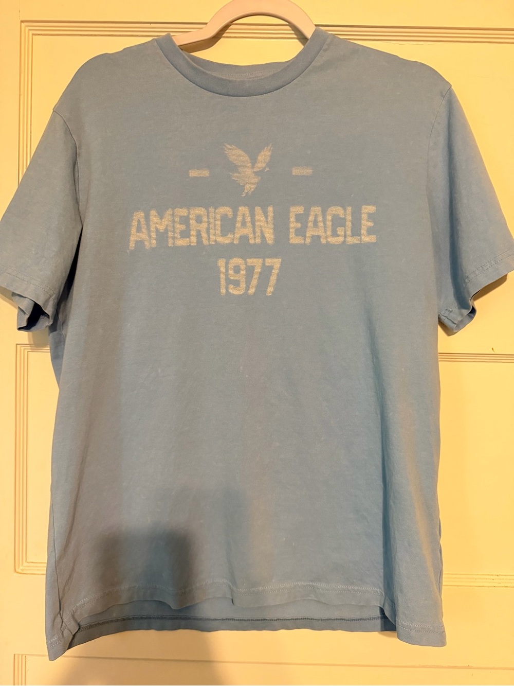 American Eagle Outfitters Light Blue Graphic Tee with White Print